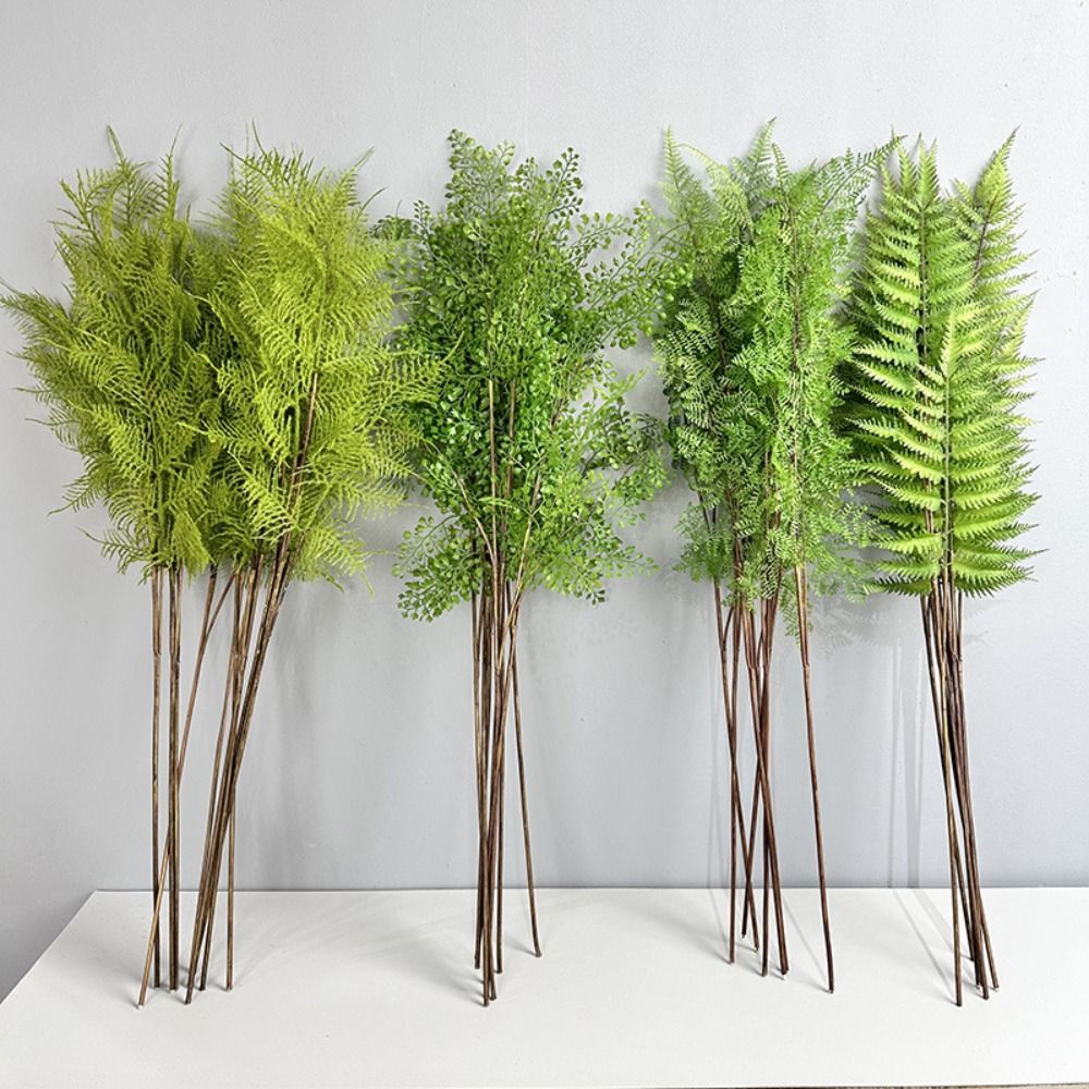 Preserved Moss Sheet - Branches de plantes de fougère artificielles