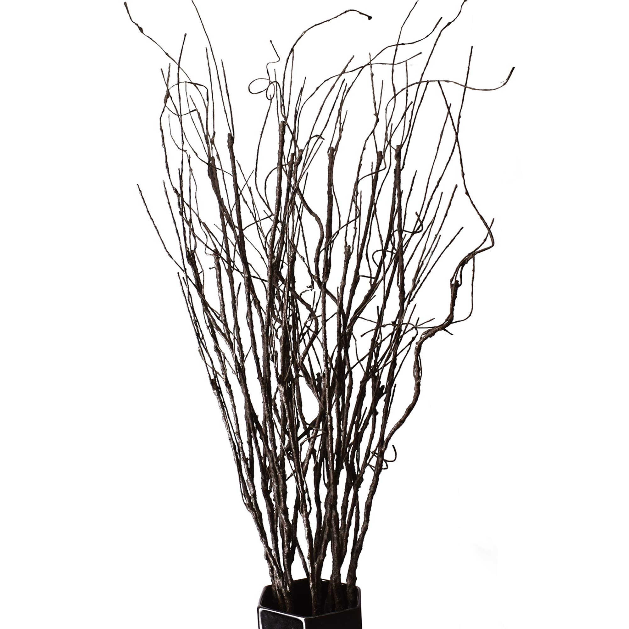 FeiLix 10 pièces de branches a - Branch Curly Willow avis et prix