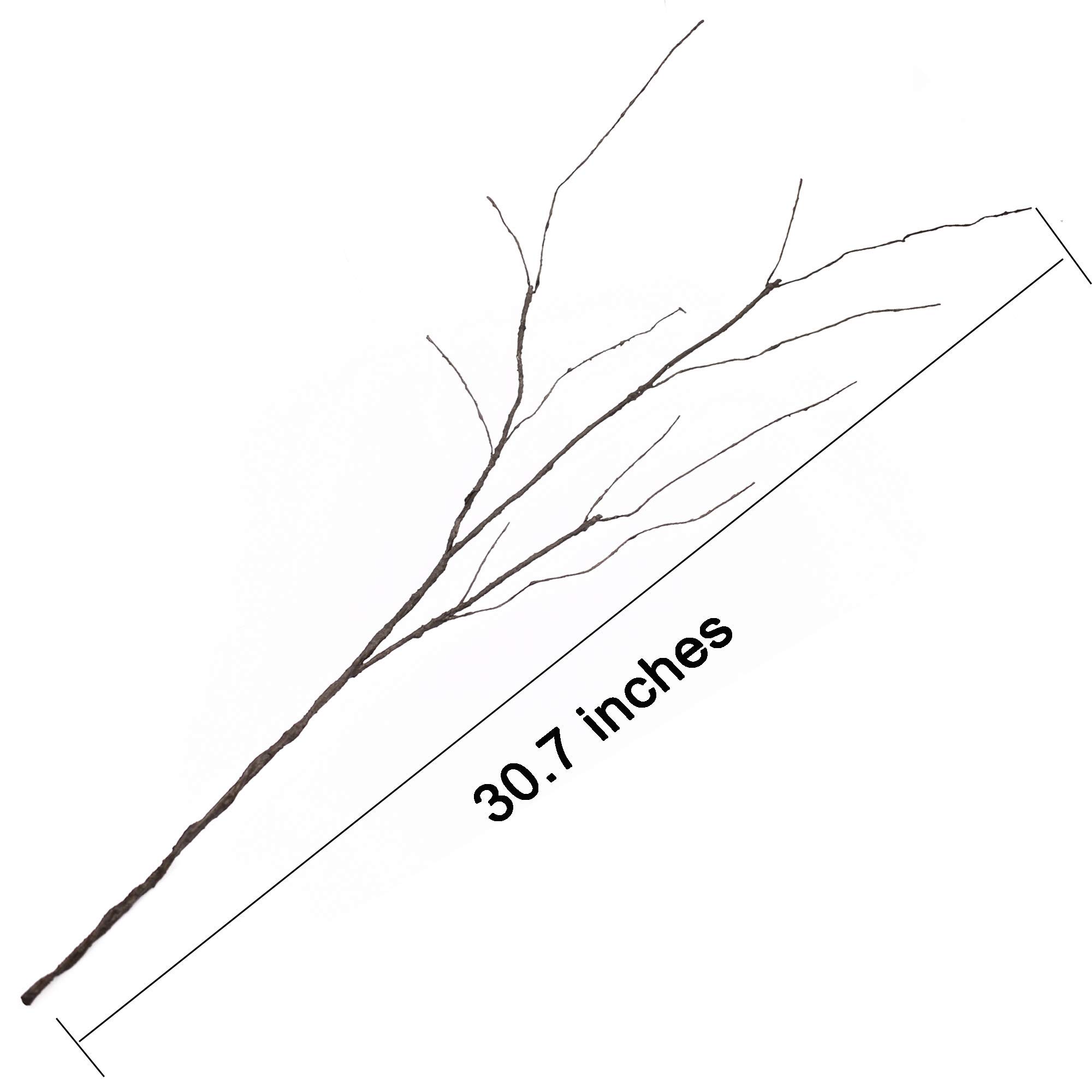FeiLix 10 pièces de branches a - Branch Curly Willow avis et prix