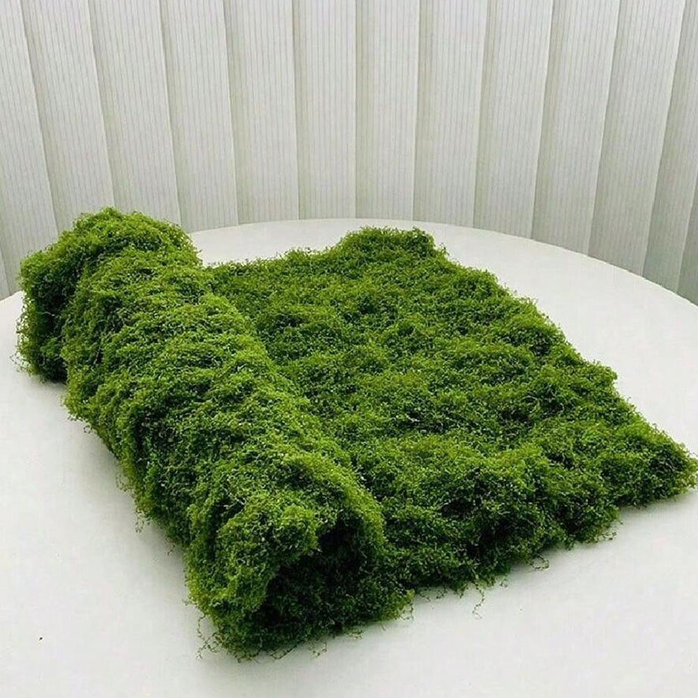 1*1m fausse mousse bricolage a - Preserved Moss Sheet avis et prix