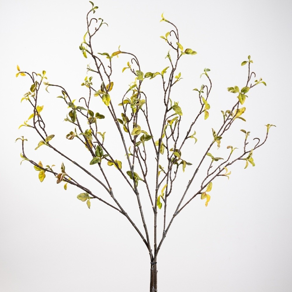 Branche de saule artificielle  - Branch Curly Willow avis et prix