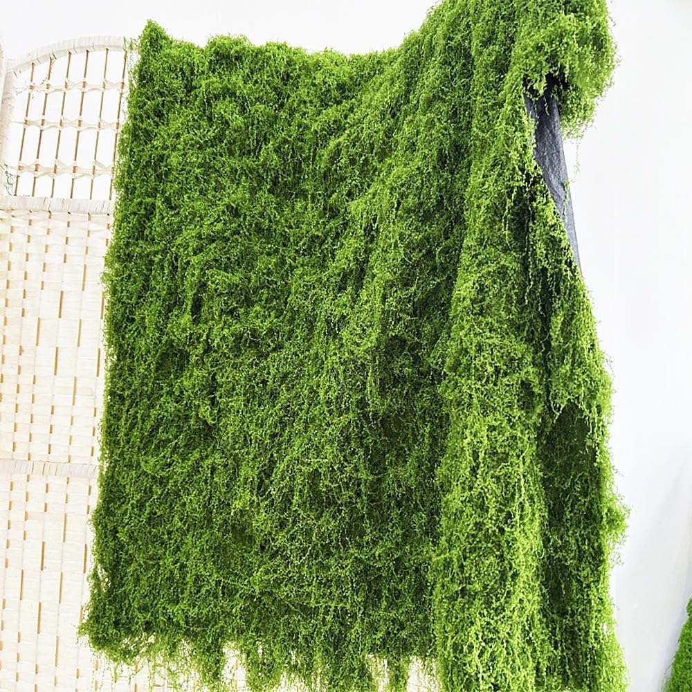 Tapis mural en mousse verte ar - Preserved Moss Sheet avis et prix